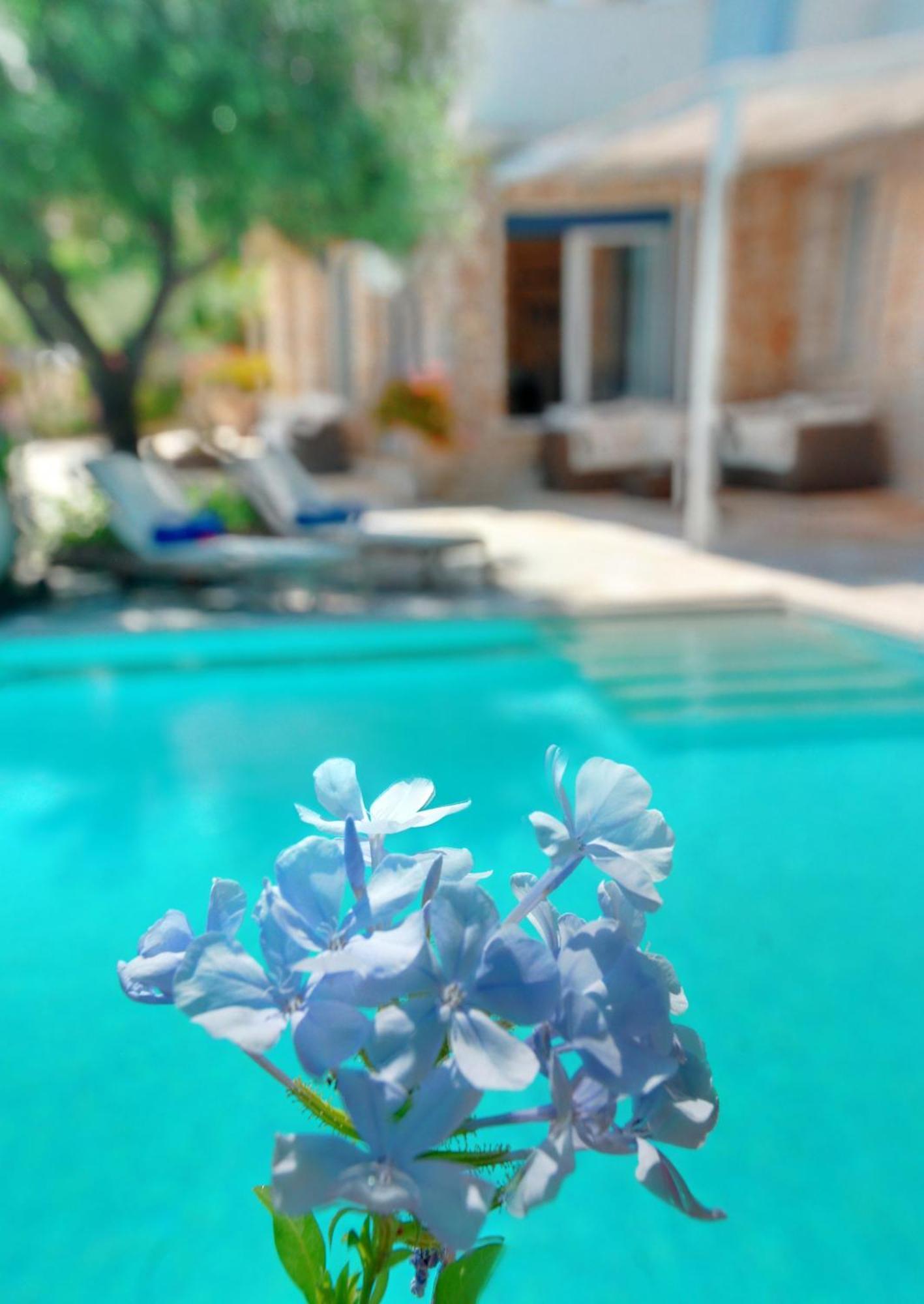 Corfu Luxury Villas Barbati Chambre photo